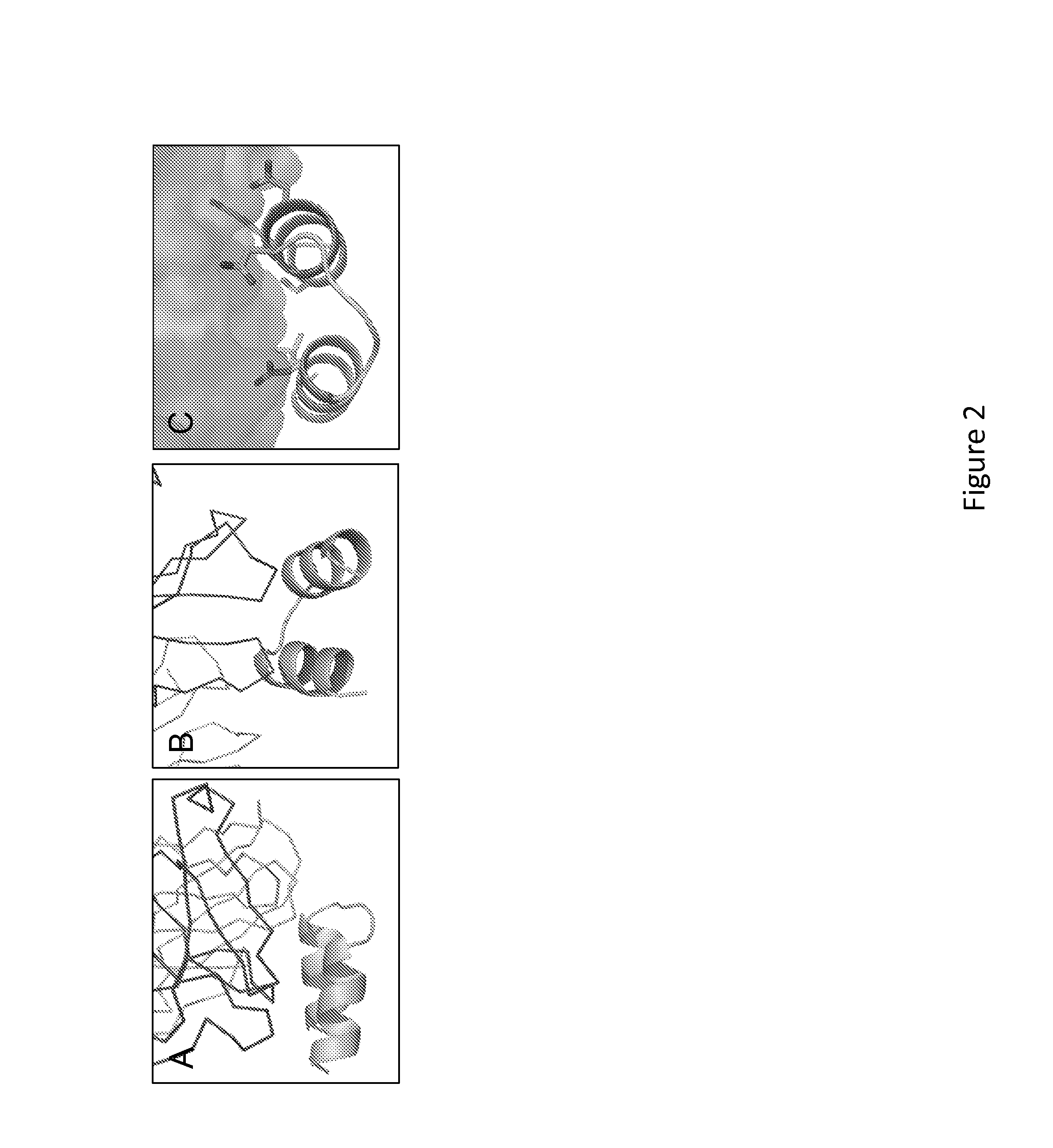 Epitope-Scaffold Immunogens Against Respiratory  Syncytial Virus (RSV)