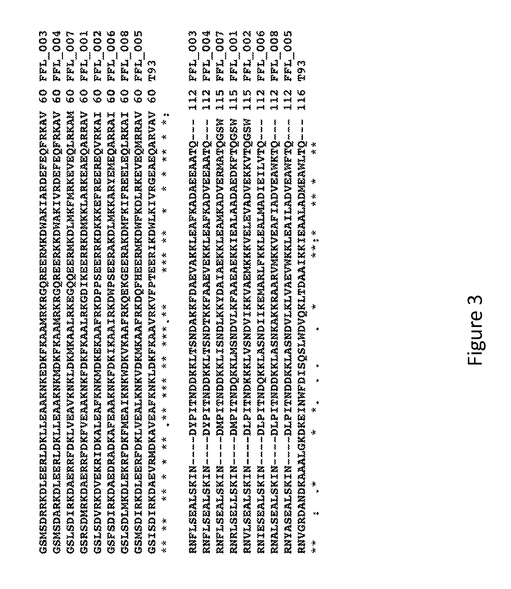 Epitope-Scaffold Immunogens Against Respiratory  Syncytial Virus (RSV)