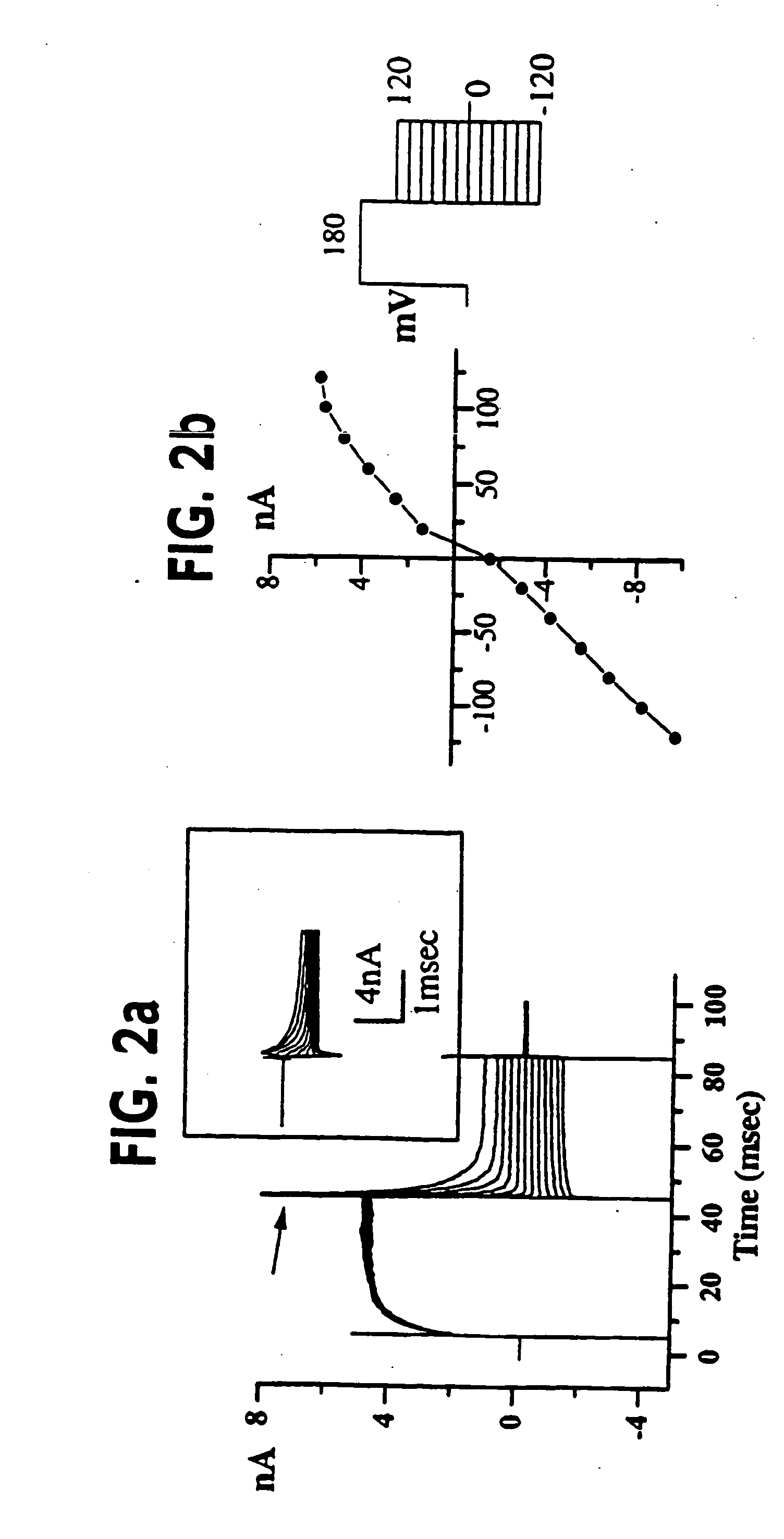 Novel method of diagnosing and treating gliomas