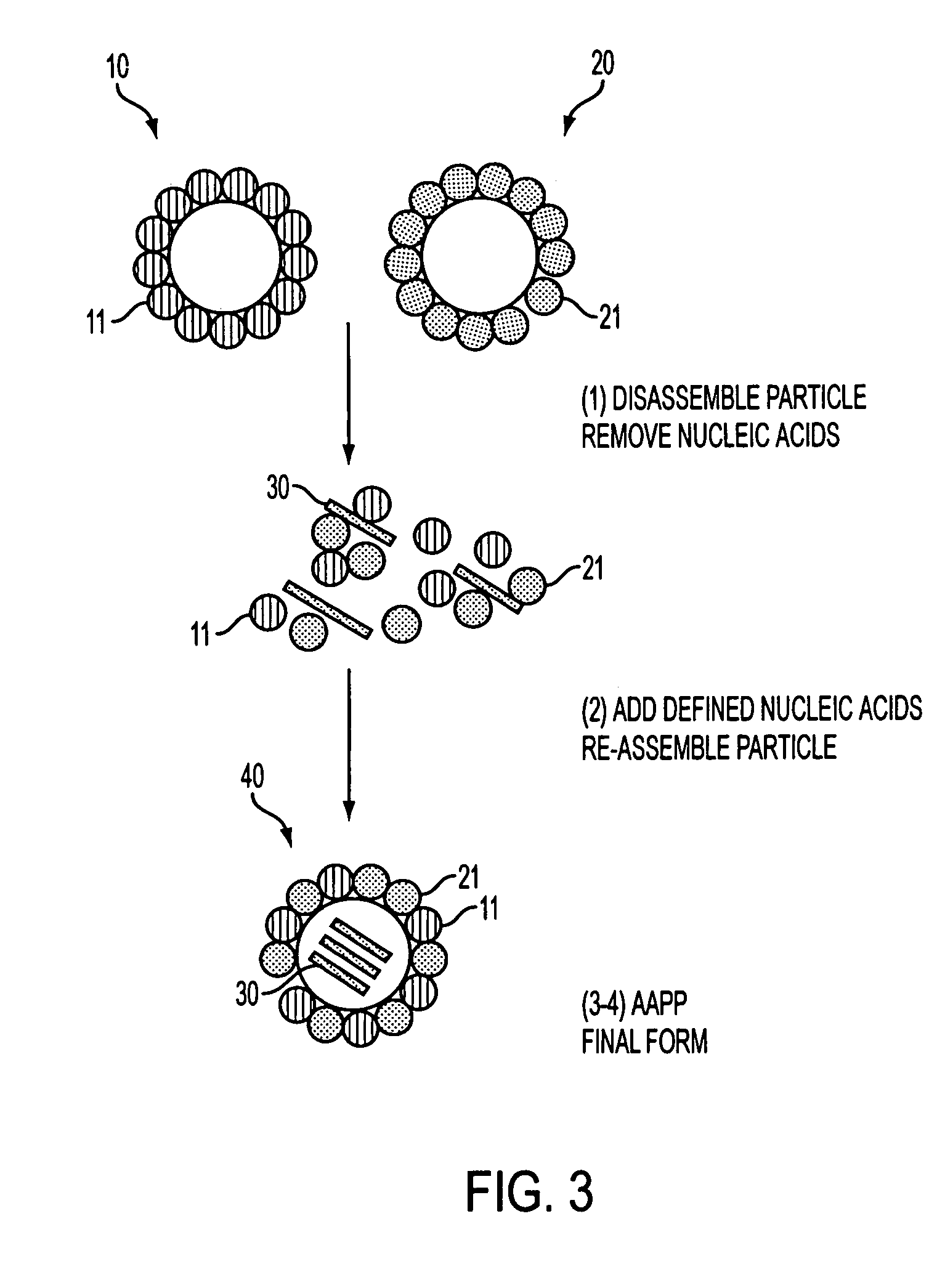 Advanced antigen presentation platform