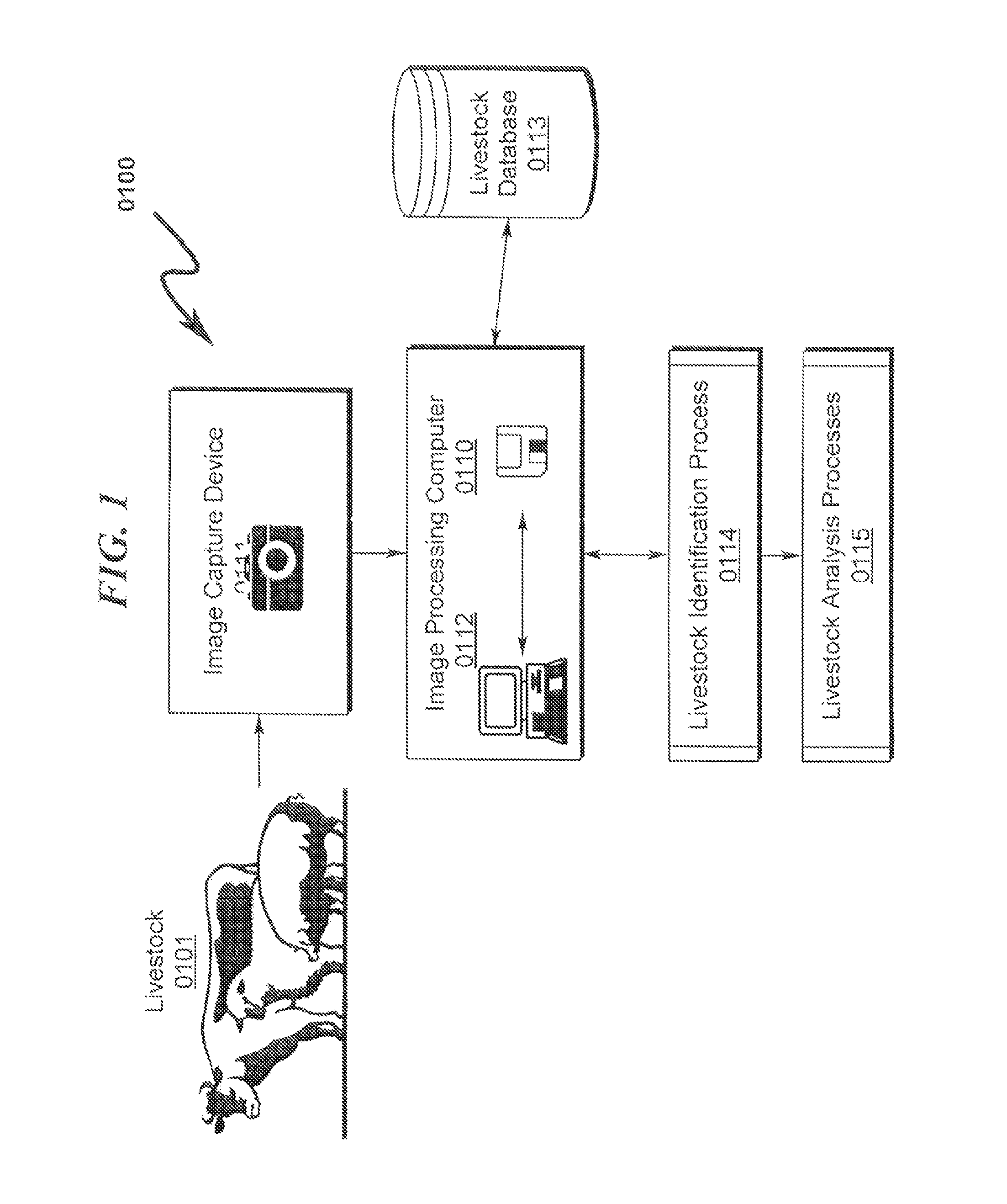 Livestock identification system and method