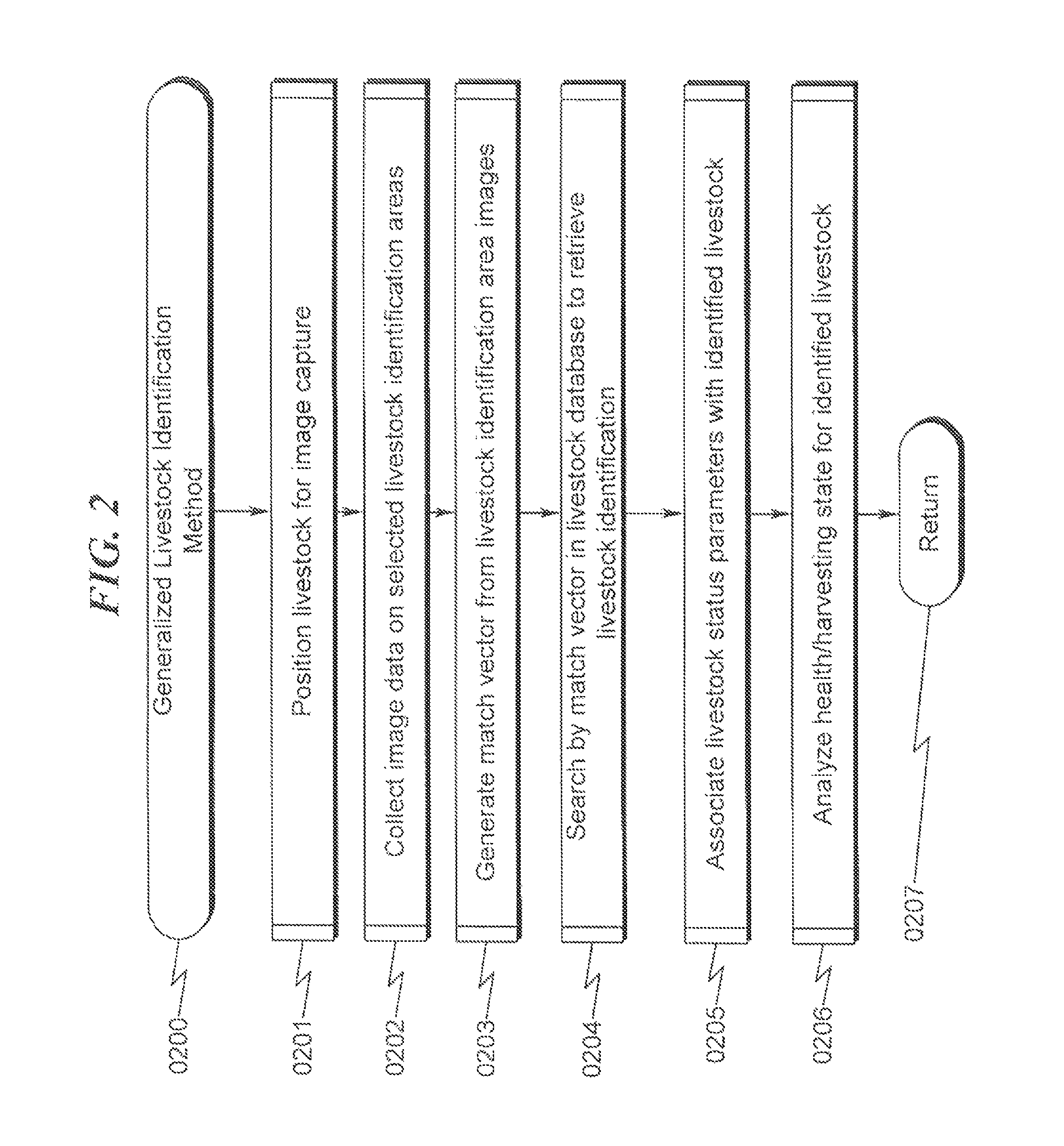 Livestock identification system and method