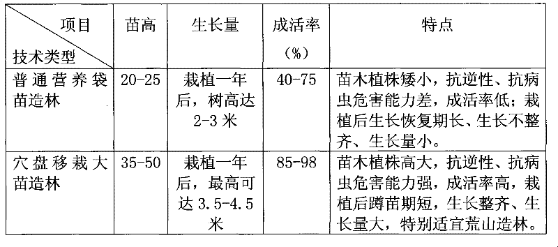 Method for culturing large eucalyptus seedlings