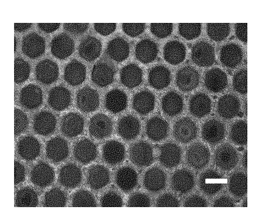 Graphene surface functionality transfer