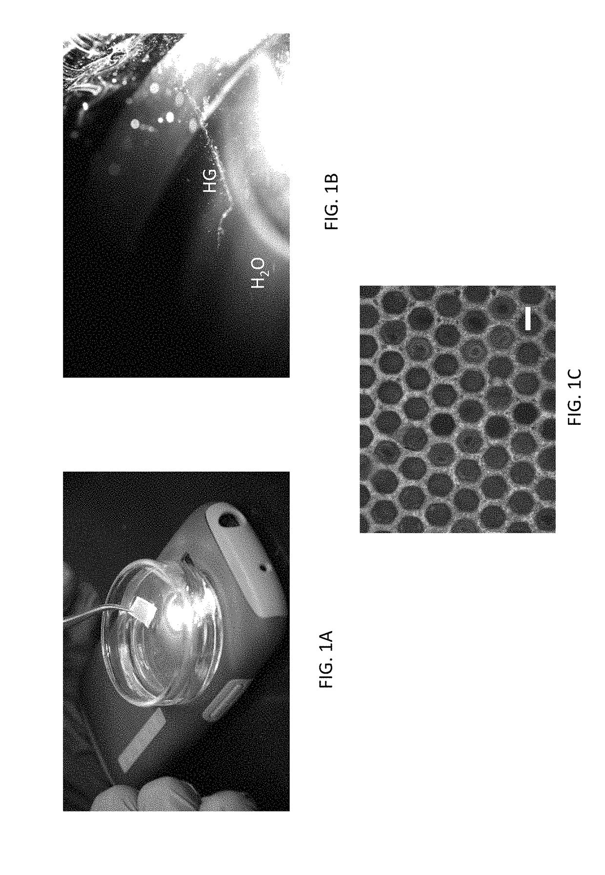 Graphene surface functionality transfer