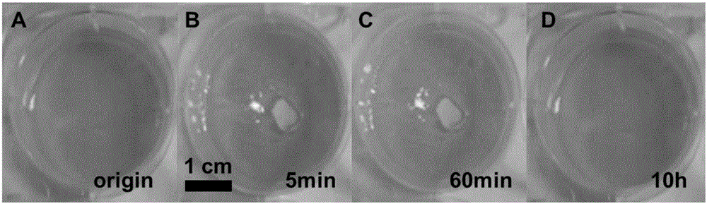 Injectable self-repairing hydrogel based on polysaccharides, preparation method and application of hydrogel to biological tissue engineering