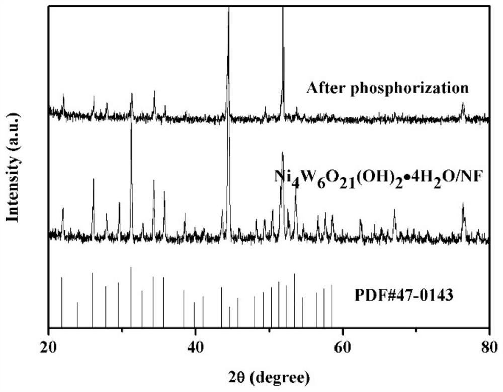 Preparation method of nickel tungsten phosphide-nickel tungsten oxide with heterostructure