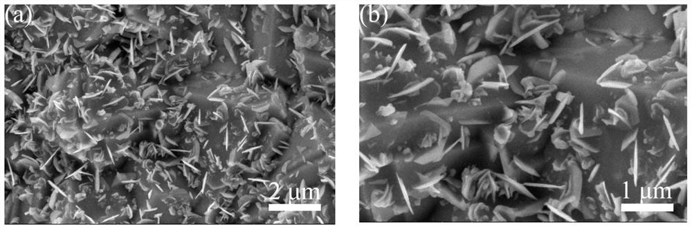 Preparation method of nickel tungsten phosphide-nickel tungsten oxide with heterostructure