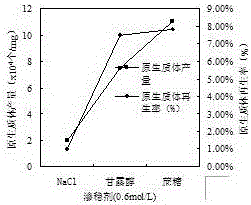 A kind of protoplast preparation and regeneration method of Lily mushroom