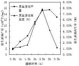 A kind of protoplast preparation and regeneration method of Lily mushroom