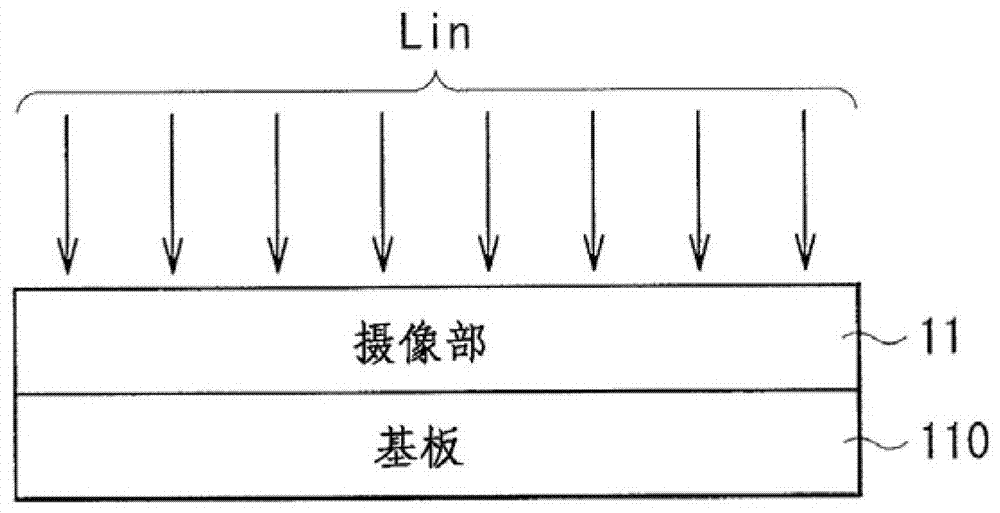 Camera department and camera display system