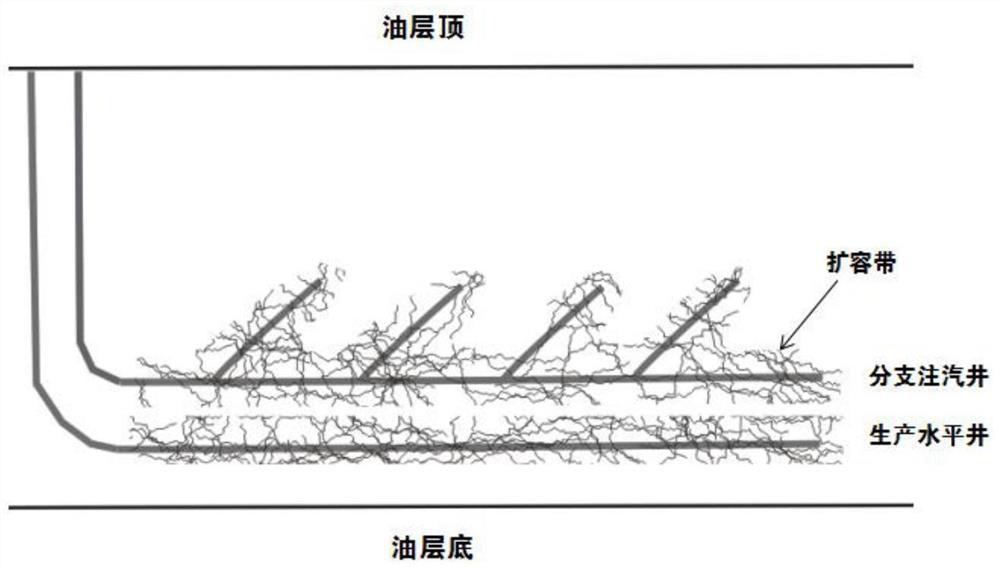 Super heavy oil reservoir multi-branch SAGD reservoir expansion oil extraction method