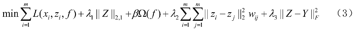 L2,1 partial mark learning-based age estimation method