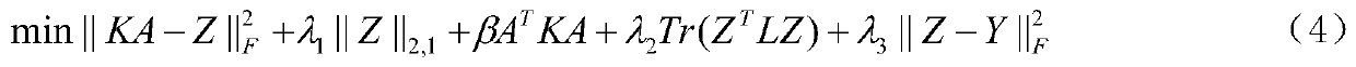 L2,1 partial mark learning-based age estimation method