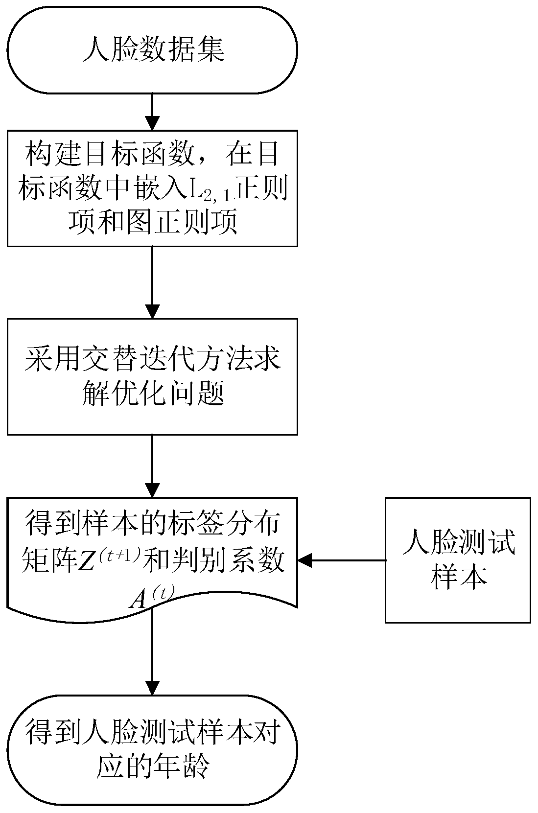 L2,1 partial mark learning-based age estimation method