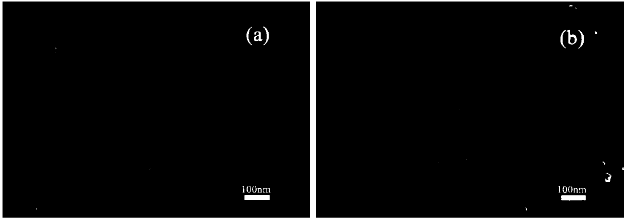 Conductive composite waterborne adhesive as well as one-pot preparation method and application thereof