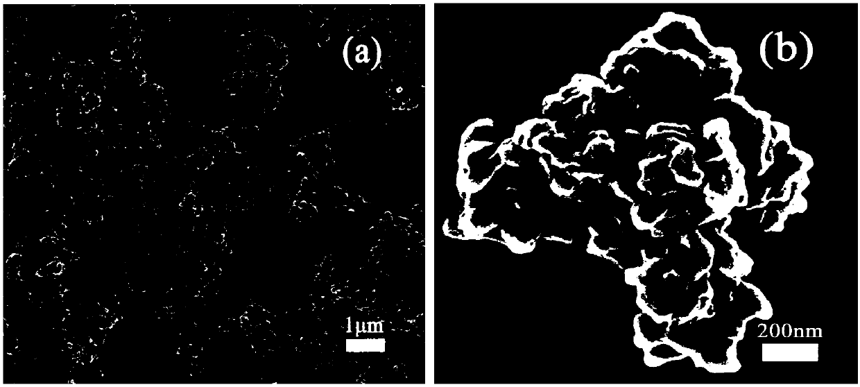 Conductive composite waterborne adhesive as well as one-pot preparation method and application thereof