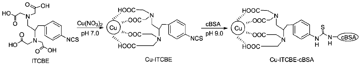 Copper ion direct competition enzyme-linked immunoassay kit and its application in environmental pollution