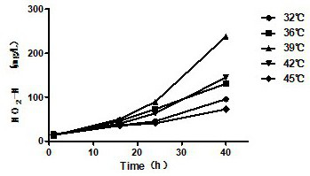 A high temperature resistant nitrosomonas and its application in sewage treatment