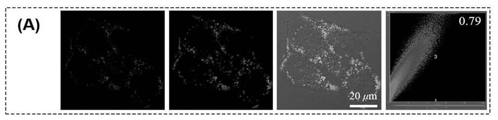 Singlet oxygen type photosensitizer material with aggregation-induced emission property as well as preparation method and application of singlet oxygen type photosensitizer material