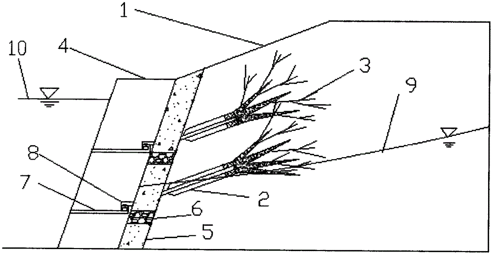 Water drainage system for water-enriched edge slope