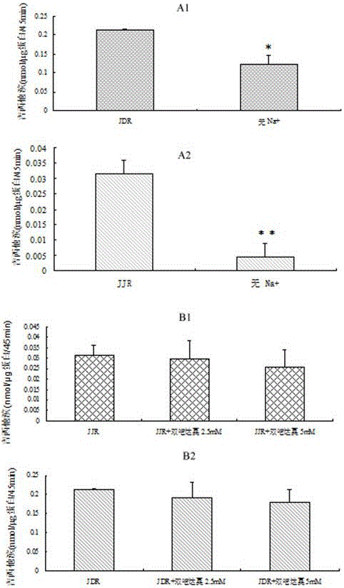 Prodrug based on intestinal OCTN2 carrier protein design and preparation method thereof