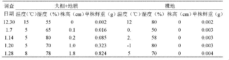 Injection prepared from heartleaf houttuynia herb and preparation method thereof