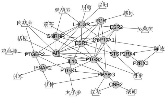 Method for screening traditional Chinese medicine composition with network targeting effect from molecular level