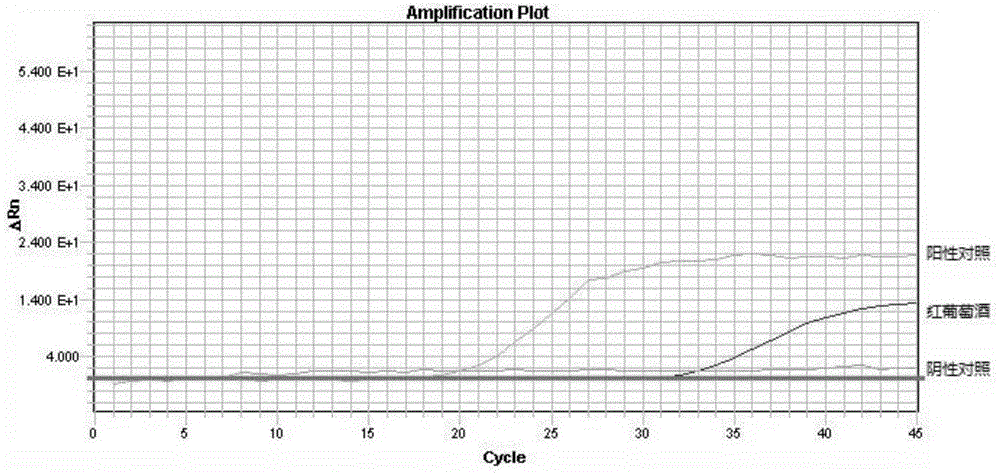 Method for extracting grape genome DNA from wine