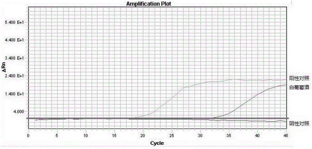 Method for extracting grape genome DNA from wine