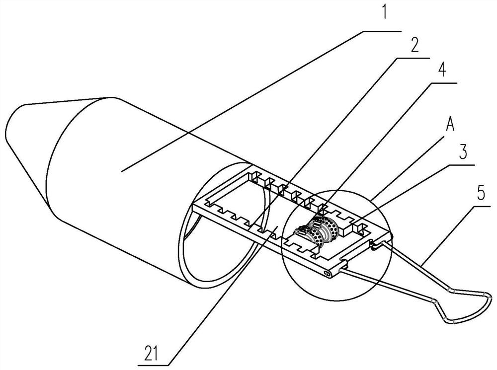 Fixing device used for fixing rat testis for injection