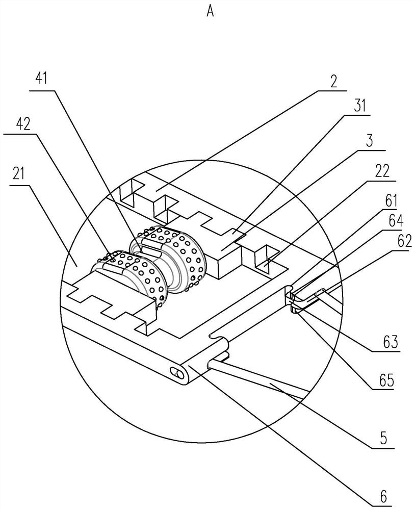 Fixing device used for fixing rat testis for injection