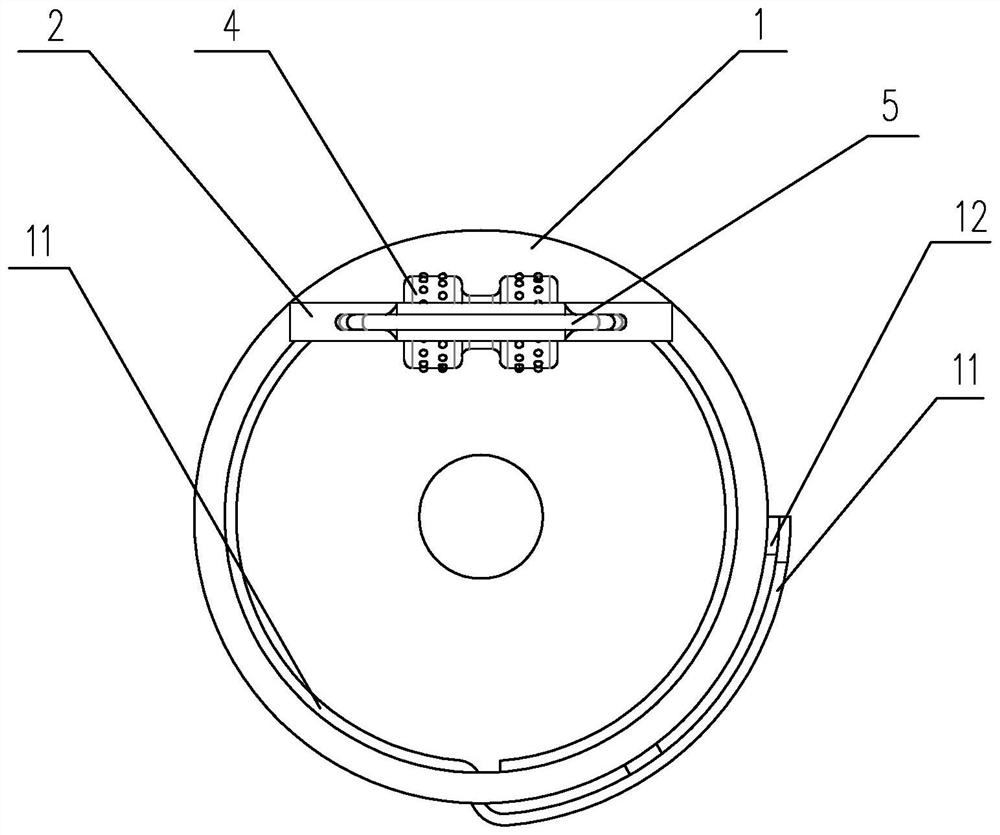 Fixing device used for fixing rat testis for injection