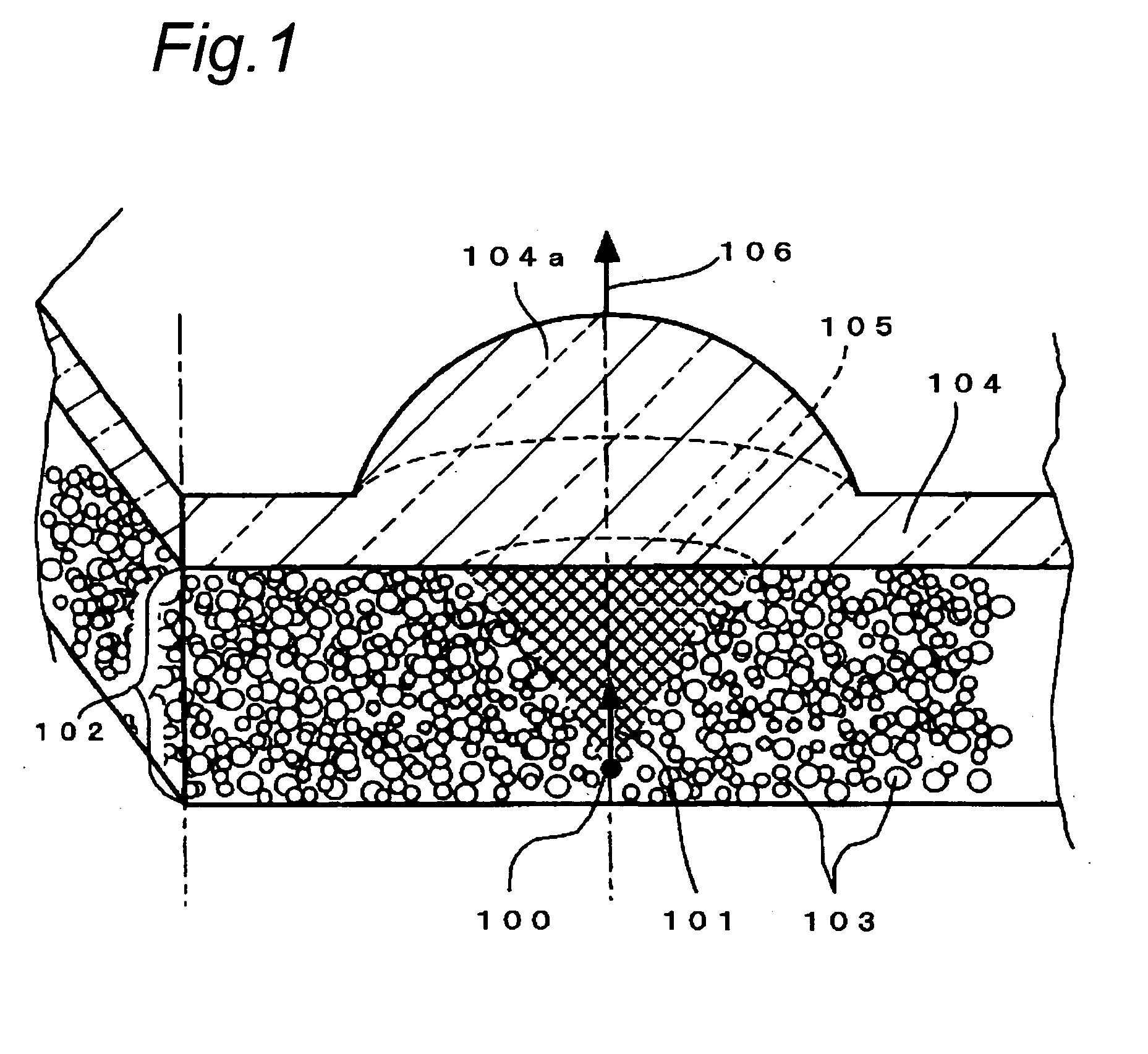 Light source apparatus and optical communication module comprising it