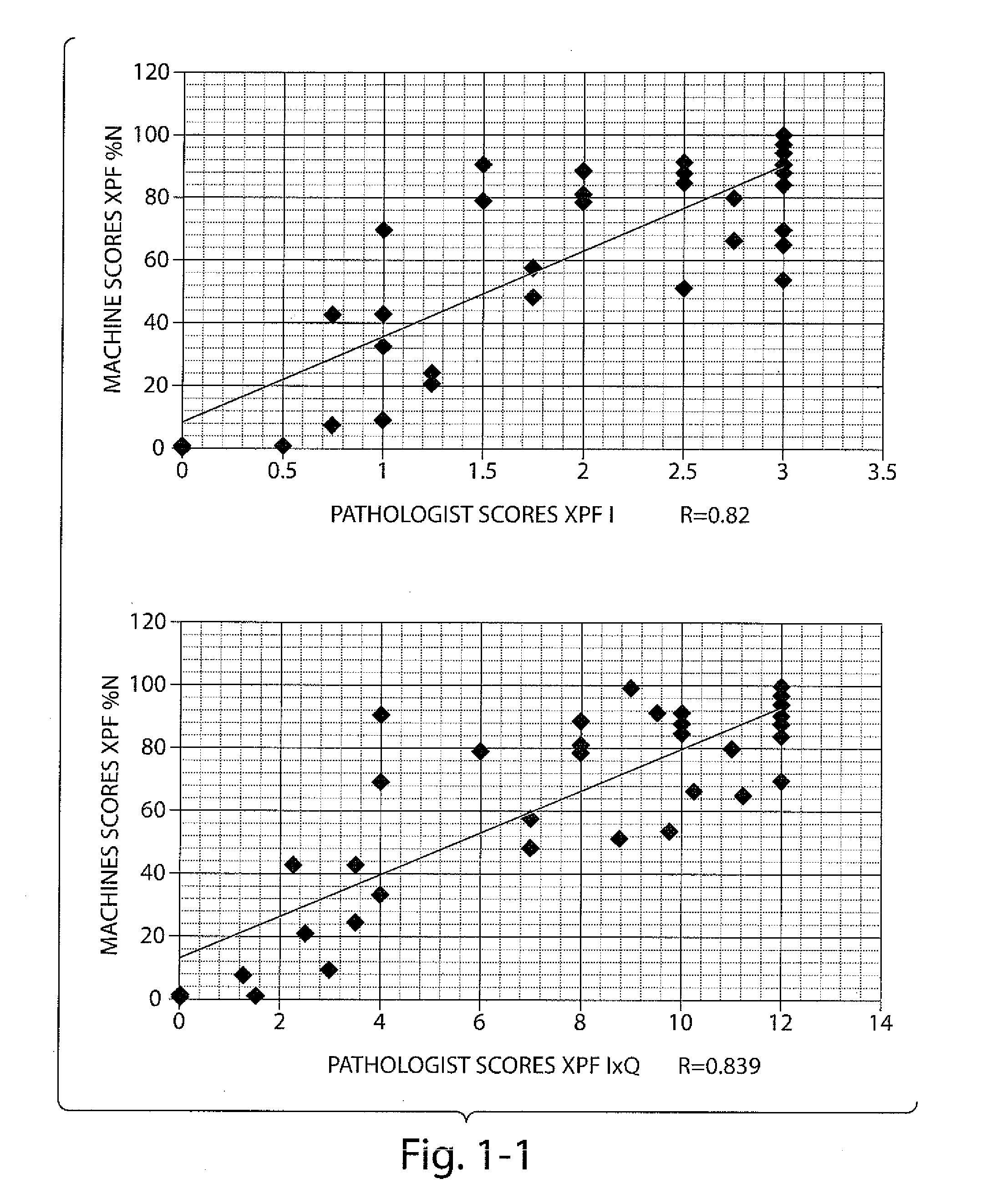 Biomarkers for the Identification Monitoring and Treatment of Head and Neck Cancer