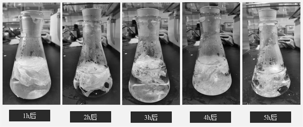 PLA/PBAT film capable of being rapidly degraded and preparation method thereof