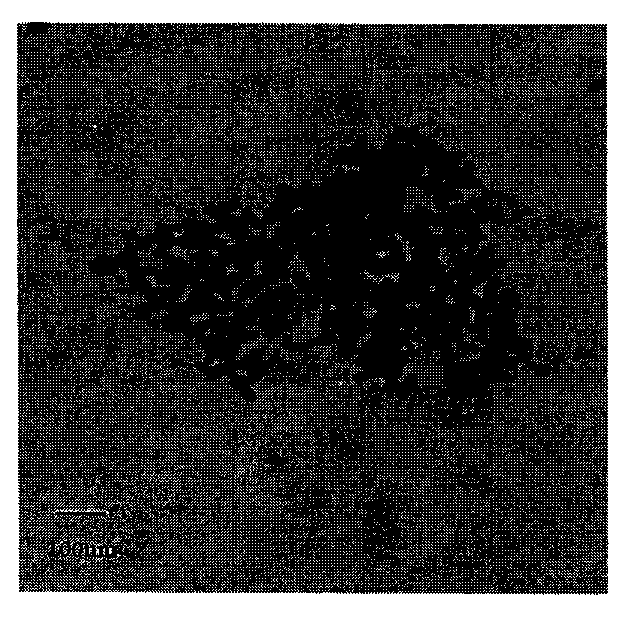 Preparation method of nano cobalt-zinc composite oxide