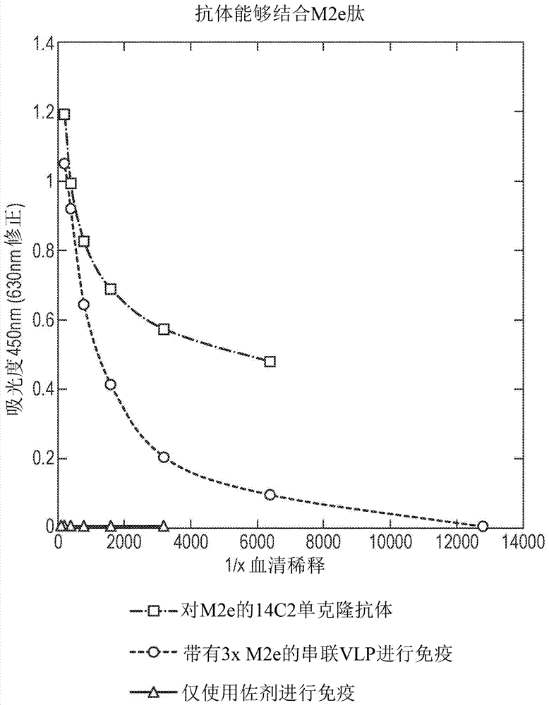 Vaccines based on hepatitis b core antigens