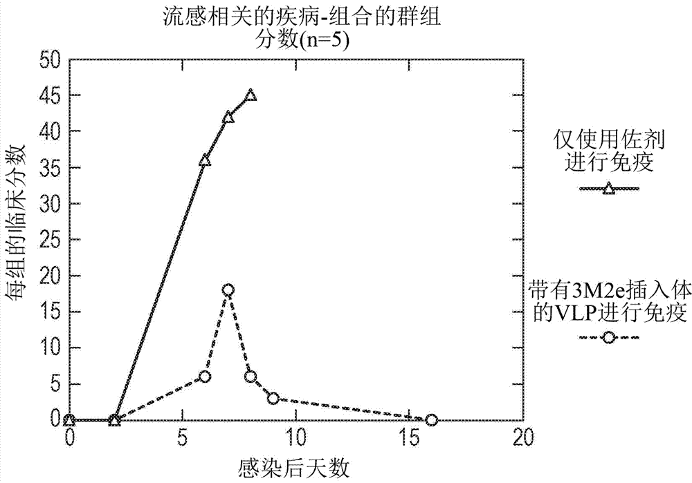 Vaccines based on hepatitis b core antigens