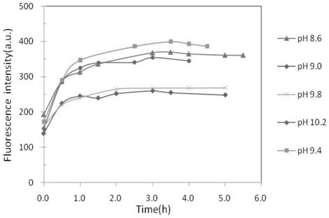 Synthesis method and application of cadmium telluride quantum dots