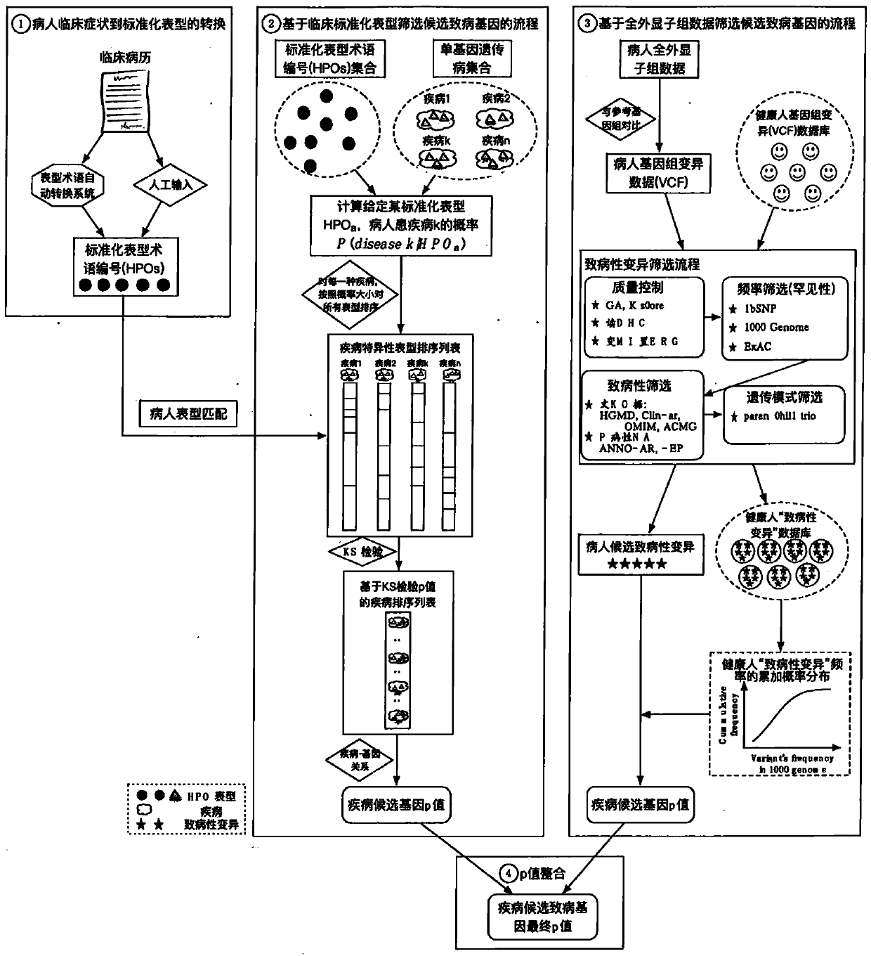 Analysis detection system for screening single gene hereditary disease pathogenic gene based on patient clinical symptom data and whole exome sequencing data