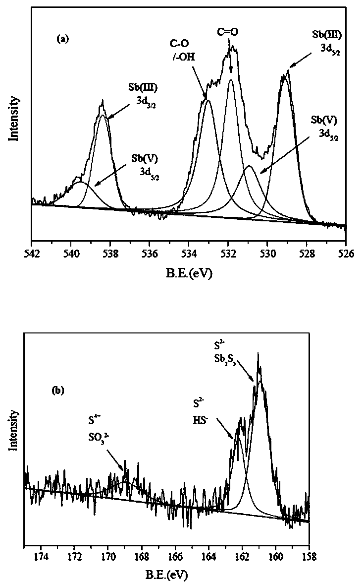 Microorganism for preparing broccoli-shaped antimony sulfide and application of microorganism