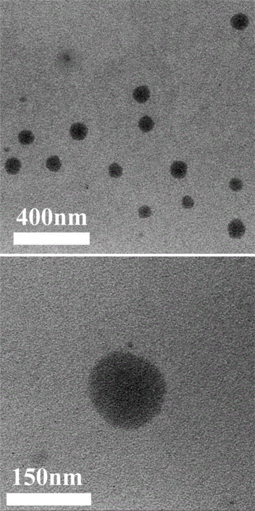 Iodine-containing polysaccharide as well as synthetic method and application thereof