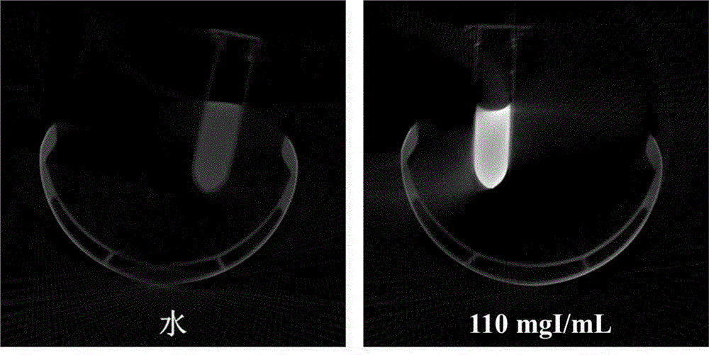 Iodine-containing polysaccharide as well as synthetic method and application thereof