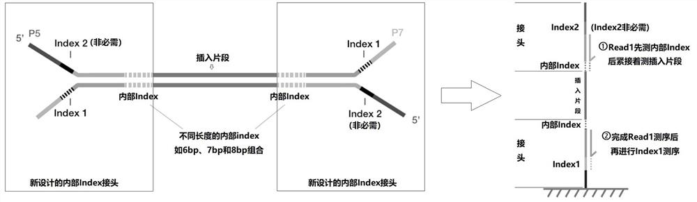 Sequencing joint and sequencing analysis system thereof