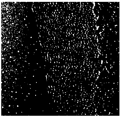 Method for preparing graphene by taking coal as raw material