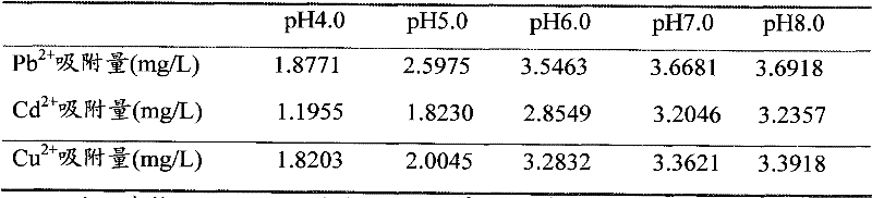 Production process of bacillus psychrosaccharolyticus extracellular polysaccharide and application thereof