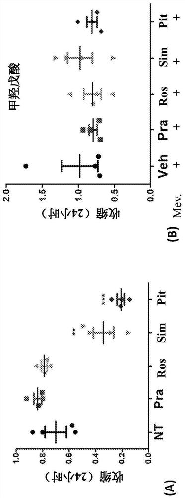 Inhaled statins as bronchodilators to improve lung function in respiratory diseases