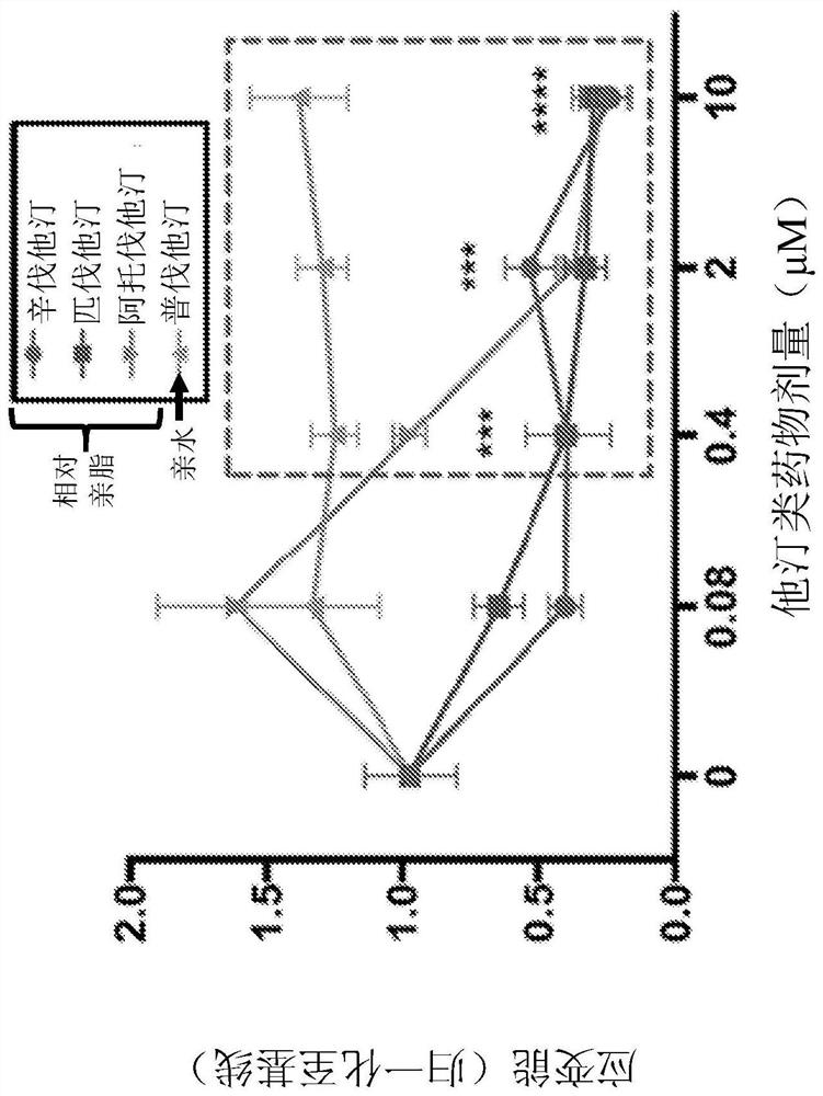 Inhaled statins as bronchodilators to improve lung function in respiratory diseases