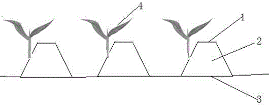 Method for improving corn output through condensed planting